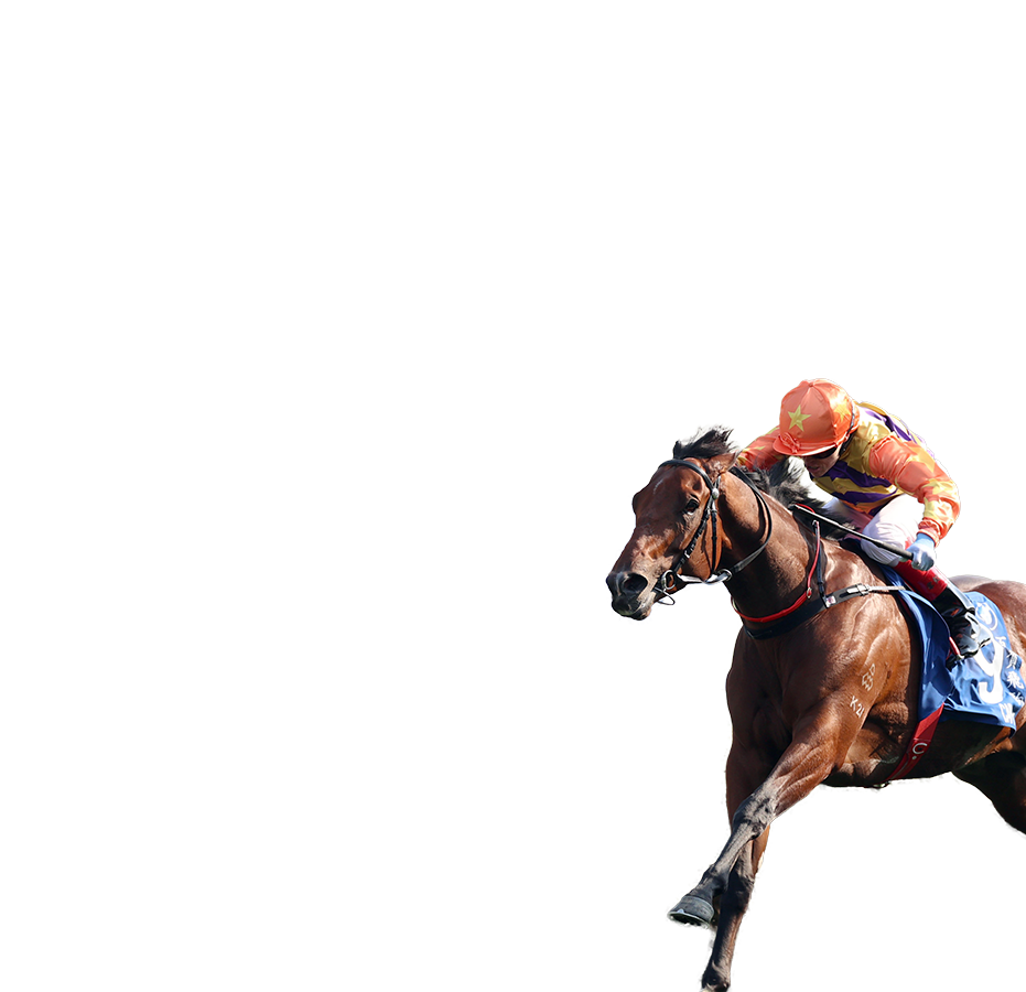 參賽馬匹– 富衛保險女皇盃- 富衛保險冠軍賽馬日2025 - 香港賽馬會