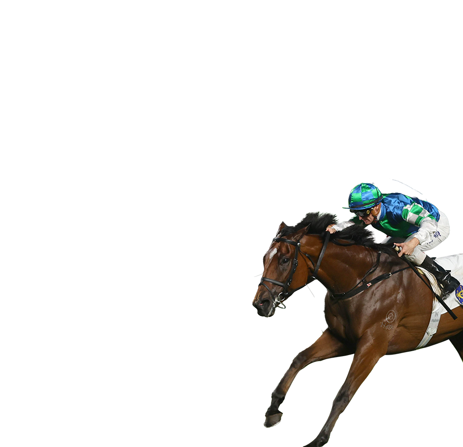 Contenders – Chairman's Sprint Prize - FWD Champions Day