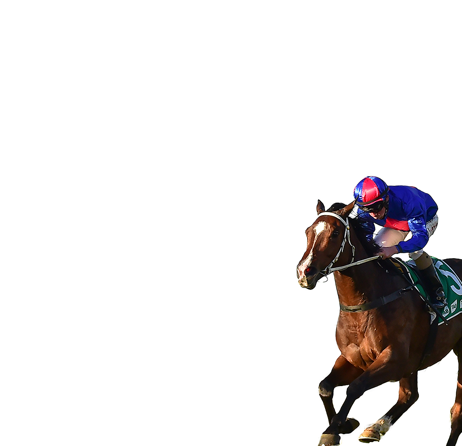 參賽馬匹– 富衛保險女皇盃- 富衛保險冠軍賽馬日2025 - 香港賽馬會
