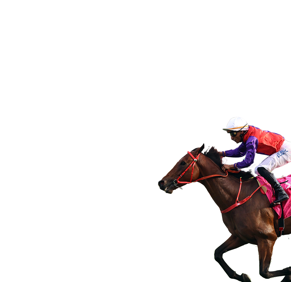 參賽馬匹– 富衛保險女皇盃- 富衛保險冠軍賽馬日2025 - 香港賽馬會