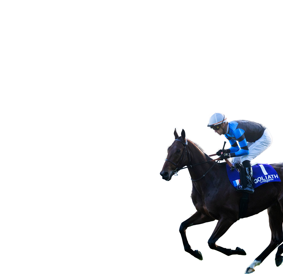 參賽馬匹– 富衛保險女皇盃- 富衛保險冠軍賽馬日2025 - 香港賽馬會