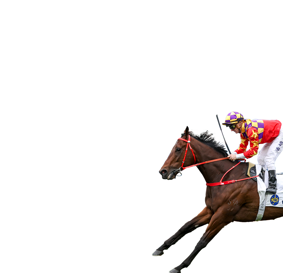 Contenders – Chairman's Sprint Prize - FWD Champions Day