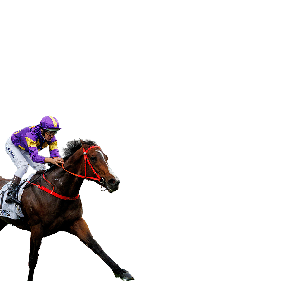 香港　CHAMPIONS DAY レーシングプログラム　英語&中国語セット RED LION (IRE) | FWD CHAMPIONS MILE GROUP 1 2025 HONG KONG