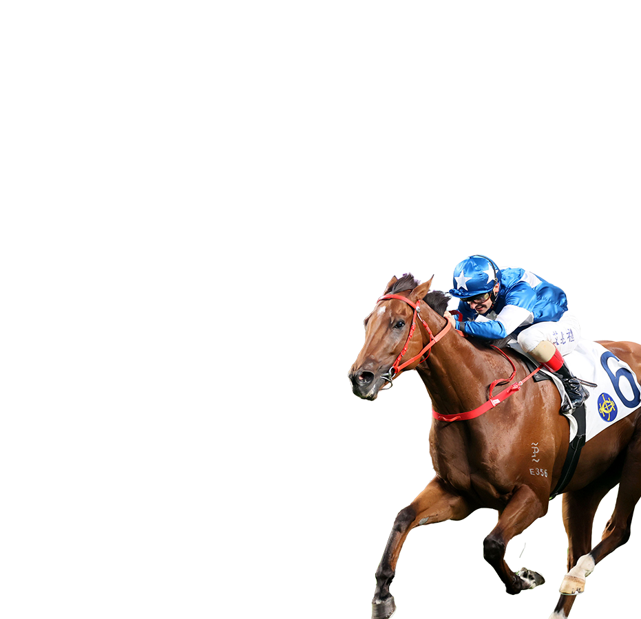 Contenders – Chairman's Sprint Prize - FWD Champions Day