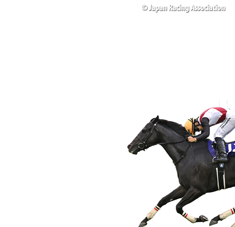 Contenders – Chairman's Sprint Prize - FWD Champions Day