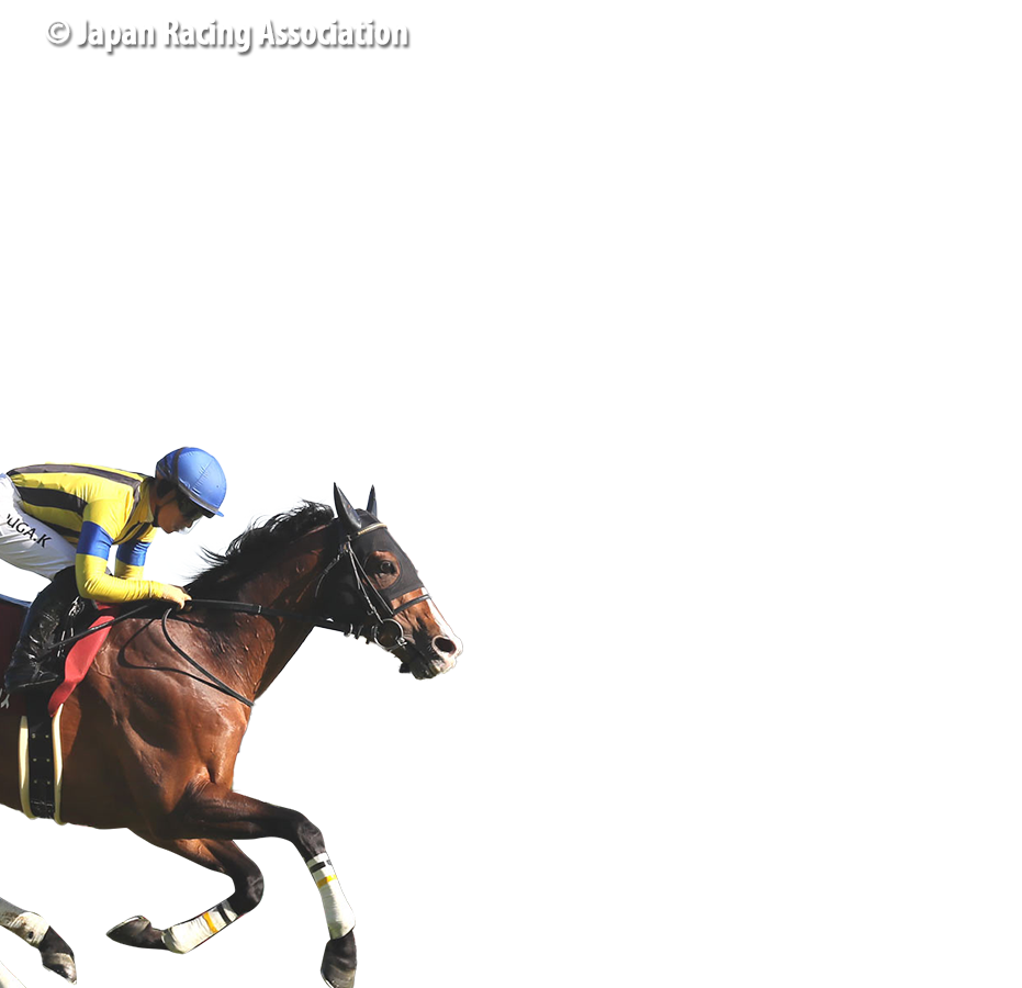 參賽馬匹– 富衛保險女皇盃- 富衛保險冠軍賽馬日2025 - 香港賽馬會