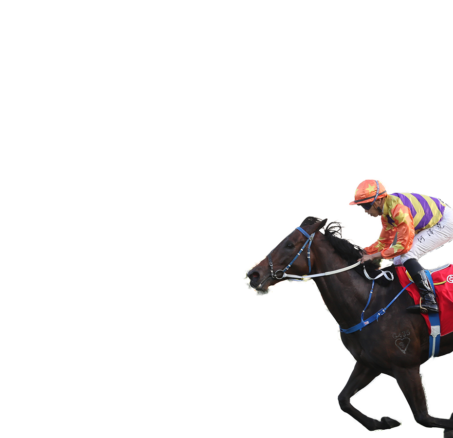 參賽馬匹– 富衛保險女皇盃- 富衛保險冠軍賽馬日2025 - 香港賽馬會