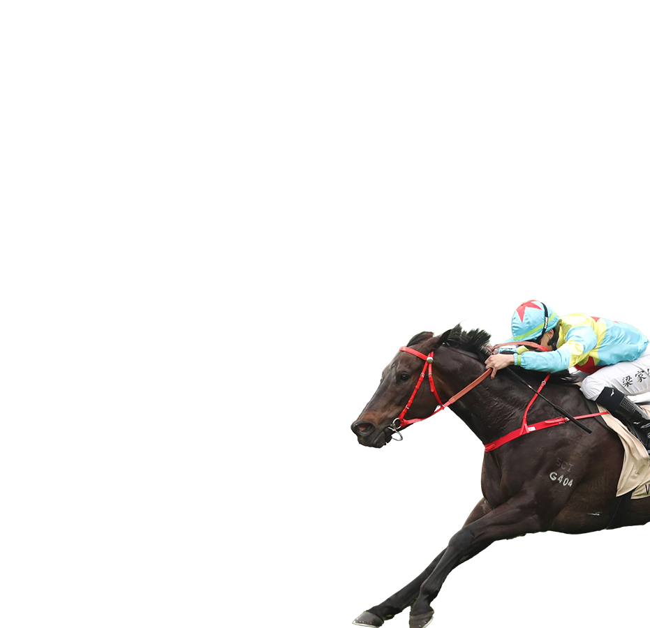 Contenders – Chairman's Sprint Prize - FWD Champions Day