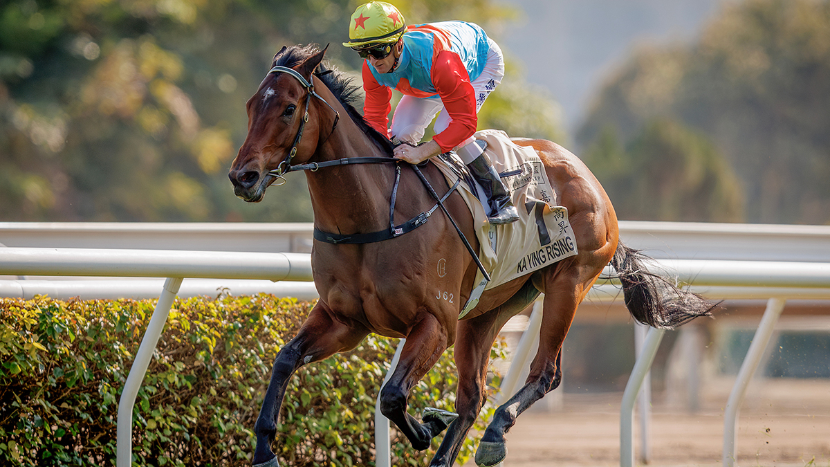 FWD Champions Mile Photo Release – Racing News – The Hong