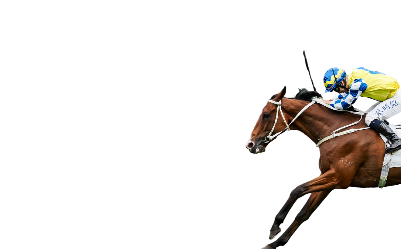 Contenders - Standard Chartered Champions and Chater Cup