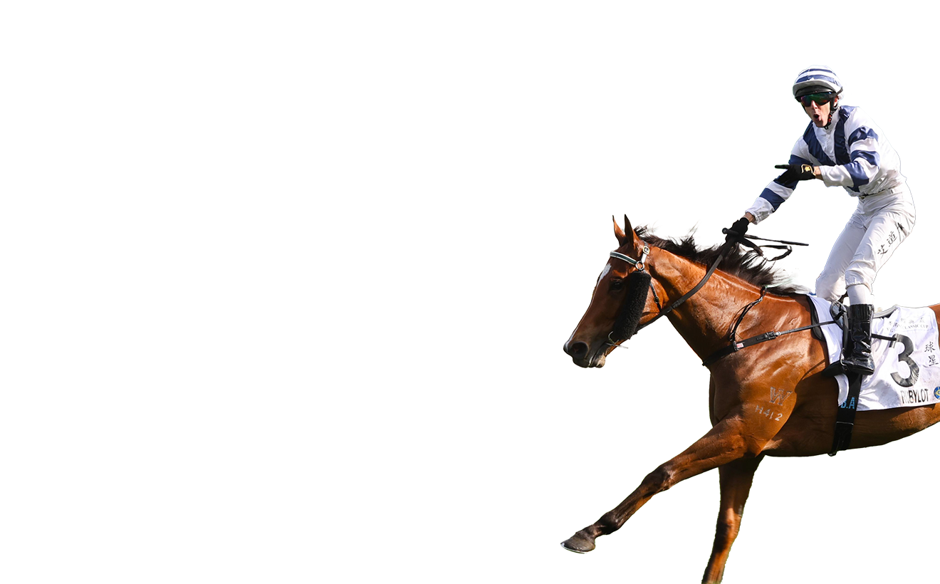 【コンビニ受取対応商品】 Contenders Cup Chater and Champions Chartered Standard - 趣味・スポーツ・実用
