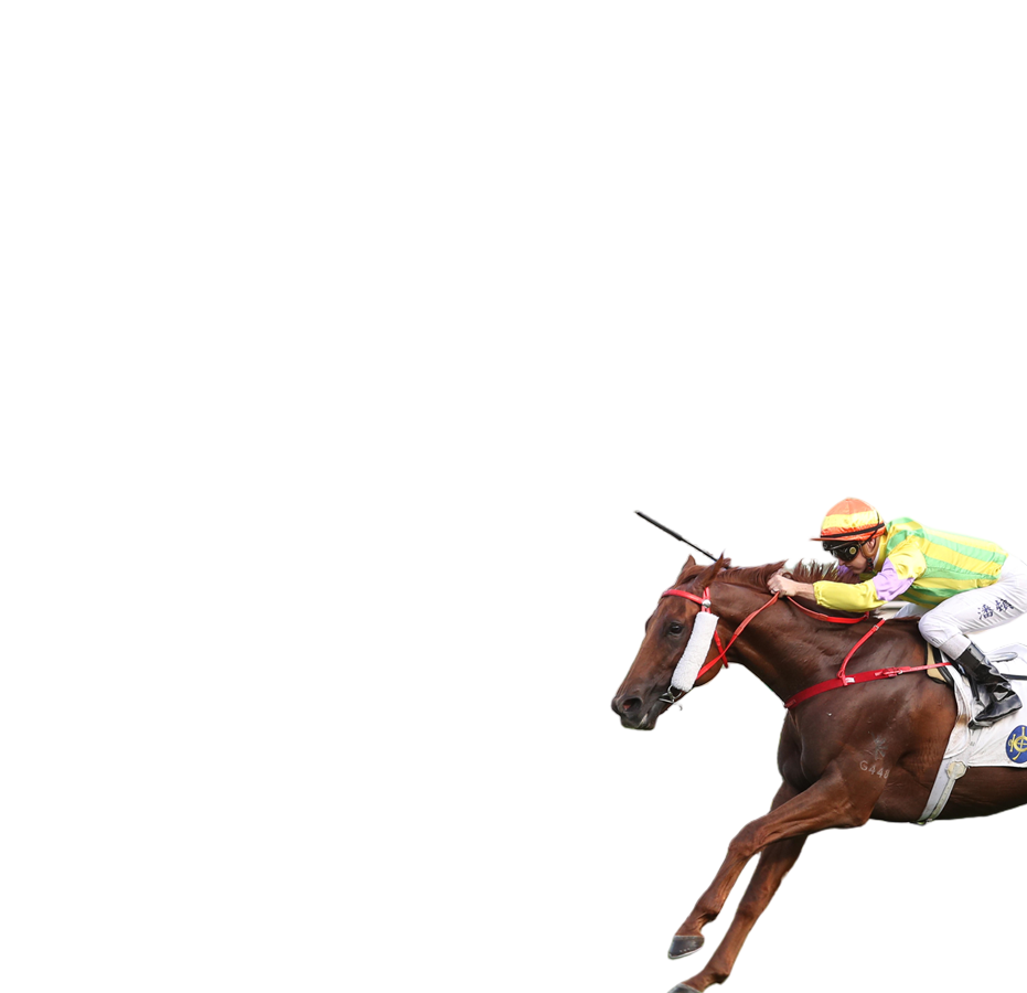 參賽馬匹- 渣打冠軍暨遮打盃2025 - 香港賽馬會