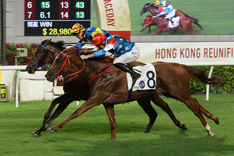 Contenders – Chairman's Sprint Prize - FWD Champions Day