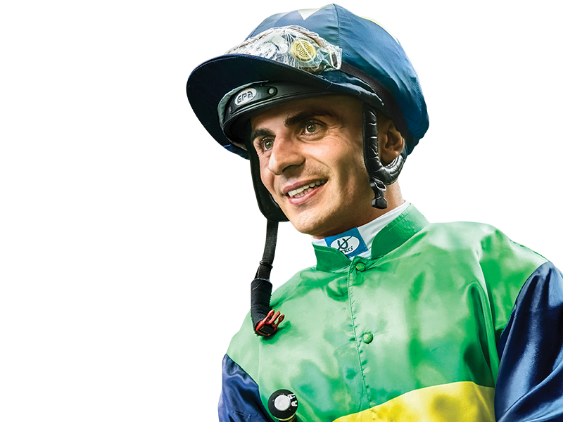 Champion Jockey Special 亮雅 Raceday review: Manfred's special shoes, Derek Leung shines
