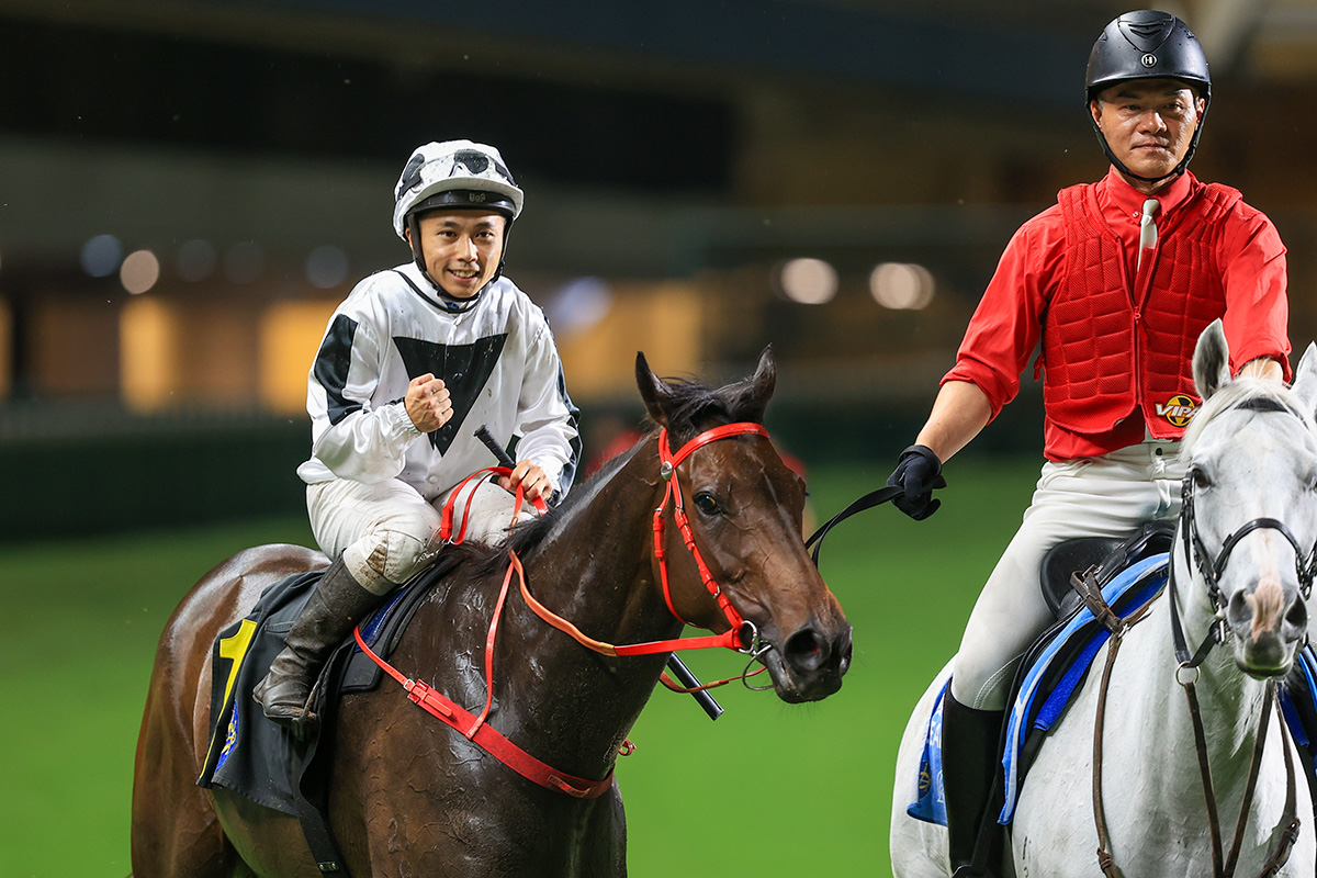 Champion Jockey Special 亮雅 Revolve Junior X-Air Nova Mips Jockey Helmet