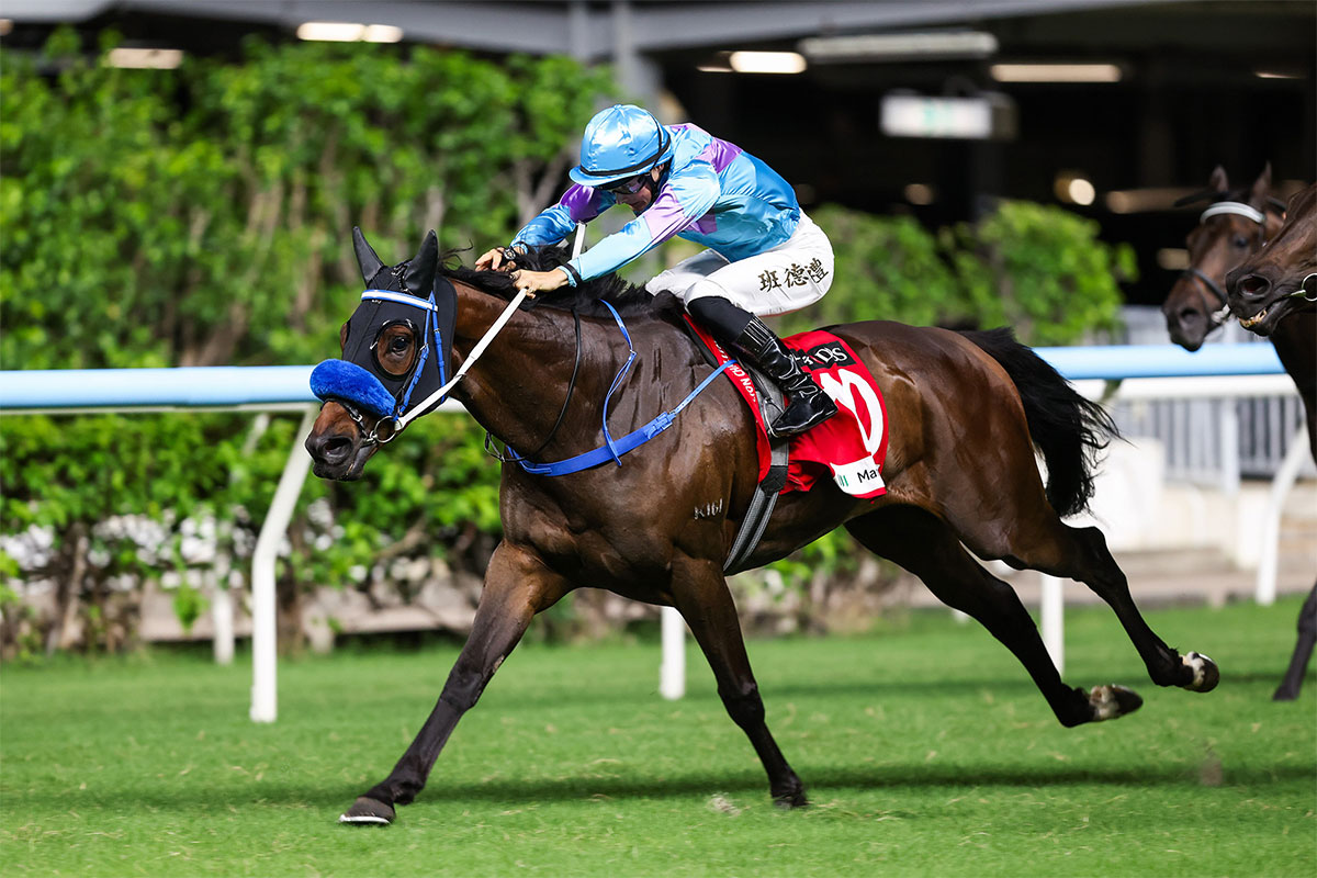Exciting Lo Rider aims to extend perfect start at Happy