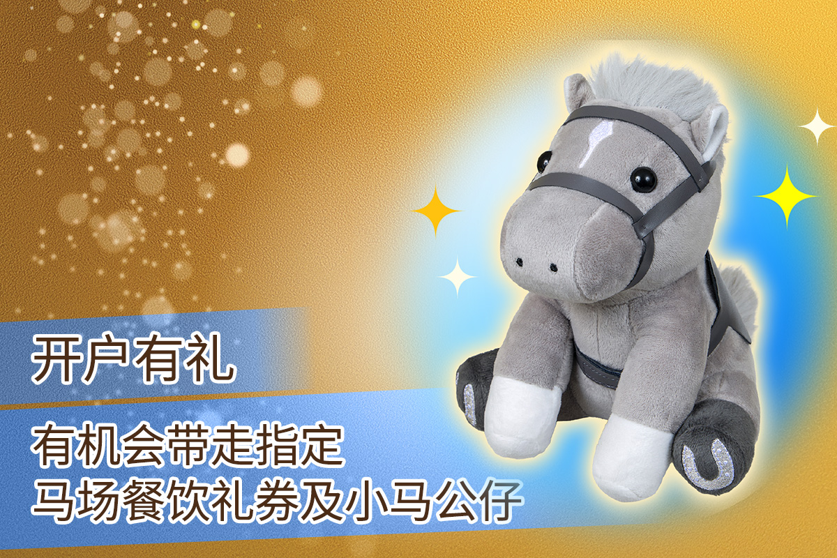 Bag a Year of Good Fortune