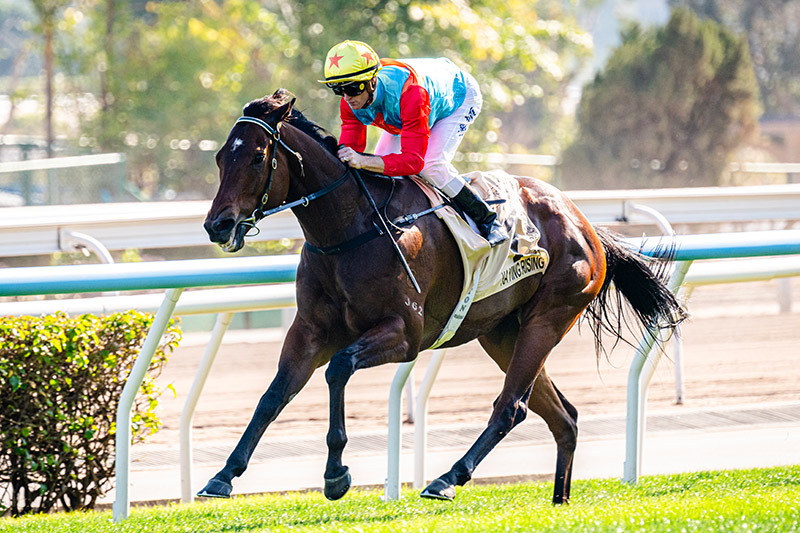 Centenary Sprint Cup Race Result