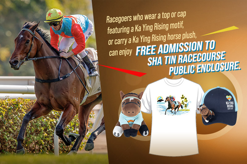 Exclusive Free Admission