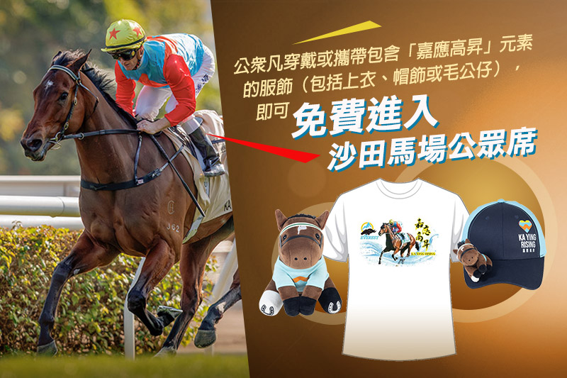 馬迷專享免費入場