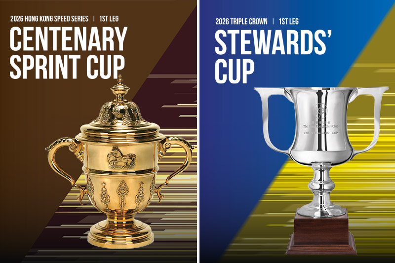 Be part of the exhilarating showdown of top-class horses