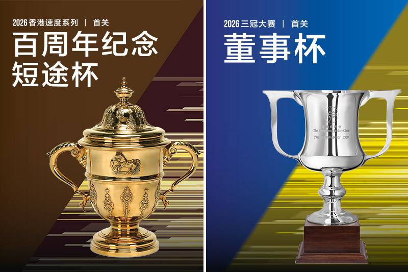 投入精英赛驹激战