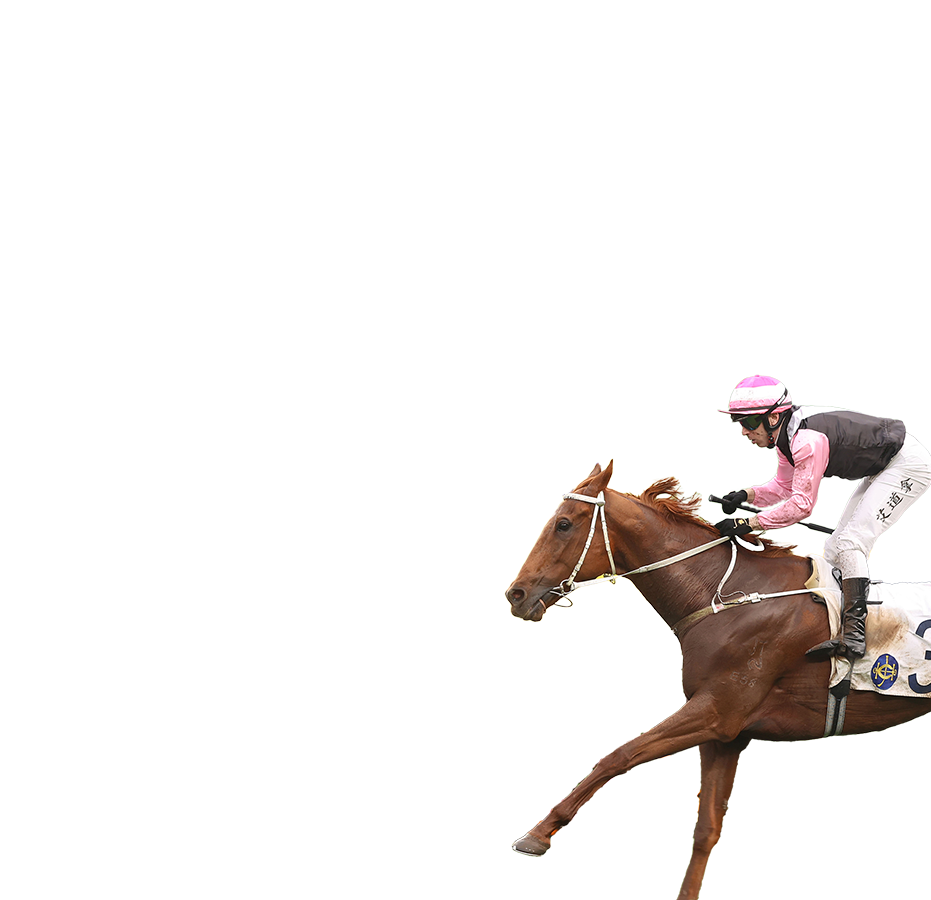 參賽馬匹– 董事盃- 時尚賽馬日2026 - 香港賽馬會