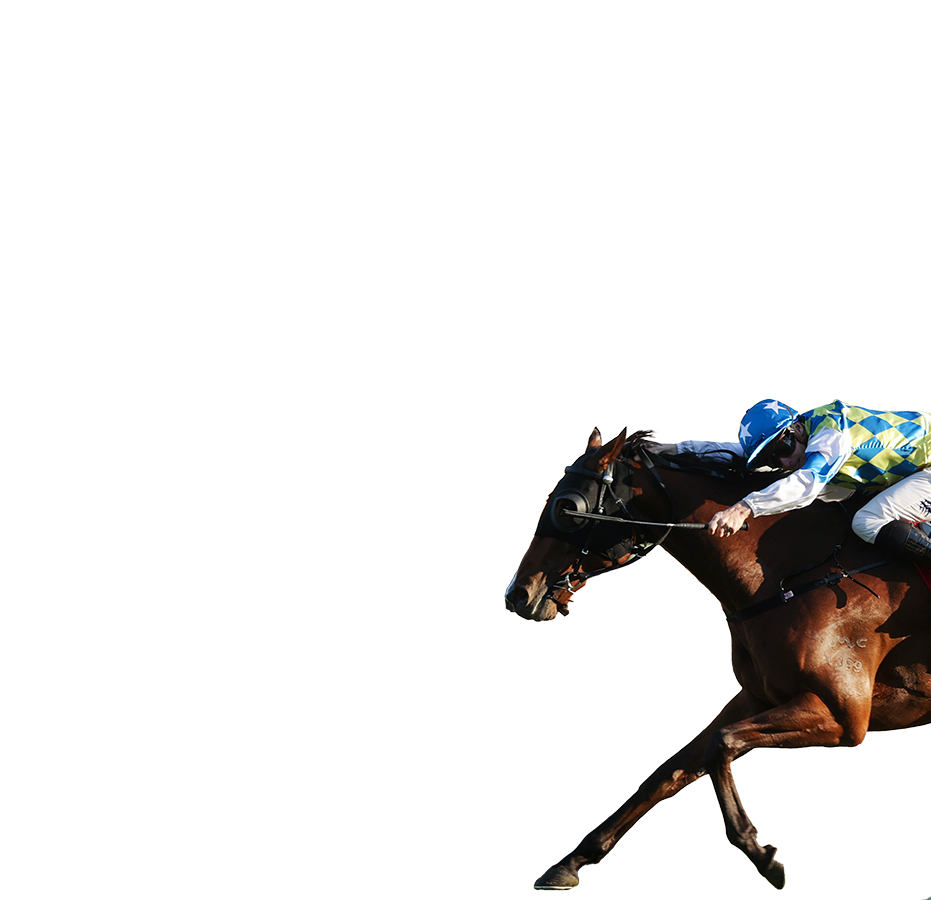 參賽馬匹– 董事盃- 時尚賽馬日2026 - 香港賽馬會