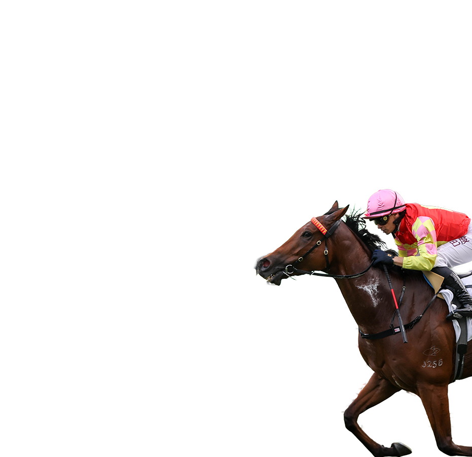 參賽馬匹– 董事盃- 時尚賽馬日2026 - 香港賽馬會