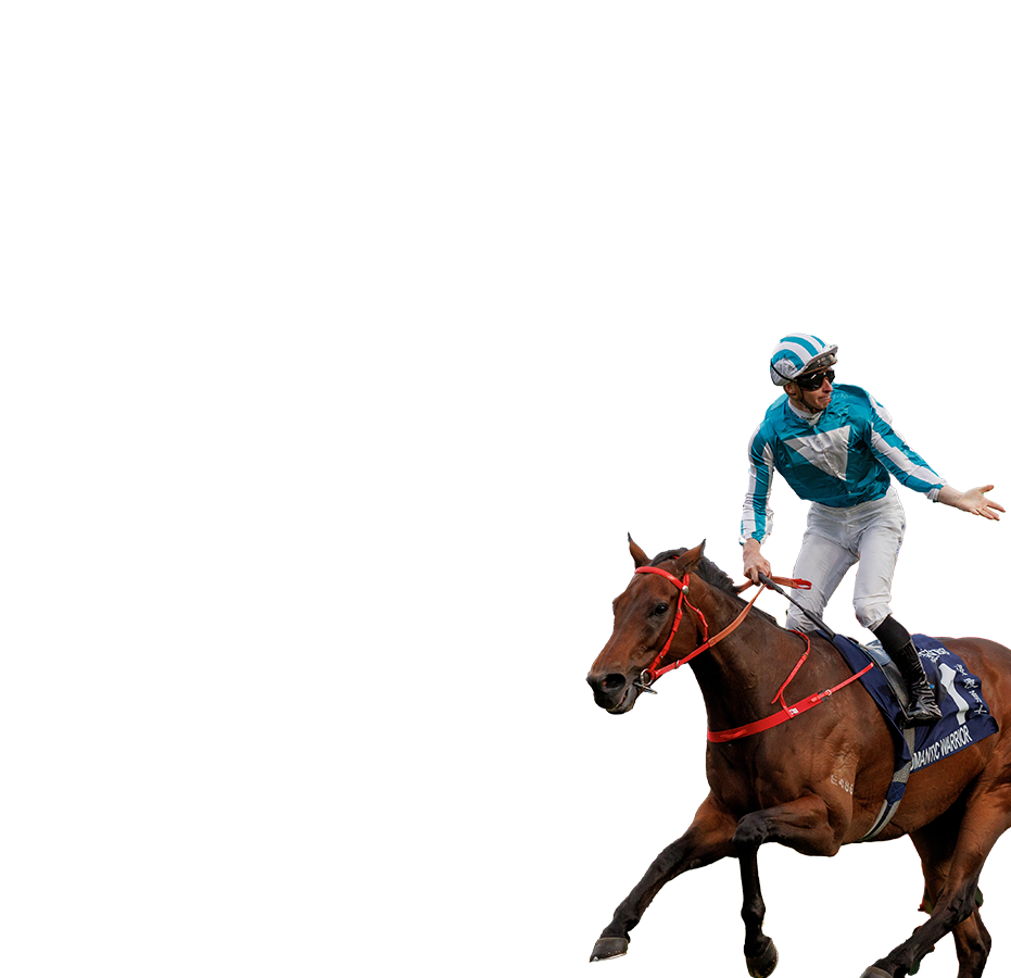 參賽馬匹– 董事盃- 時尚賽馬日2026 - 香港賽馬會