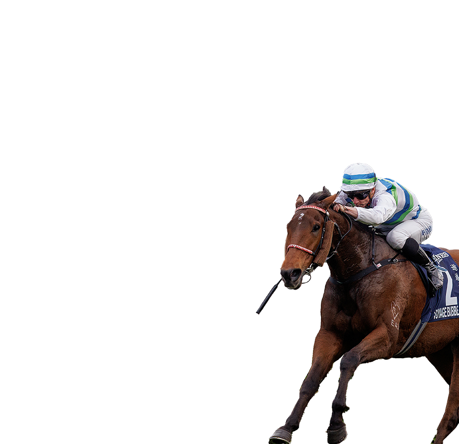 參賽馬匹– 董事盃- 時尚賽馬日2026 - 香港賽馬會