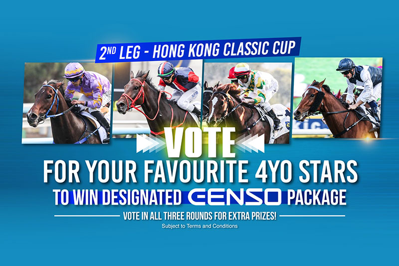 Cast Your Vote for Your Favourite 4YO Stars