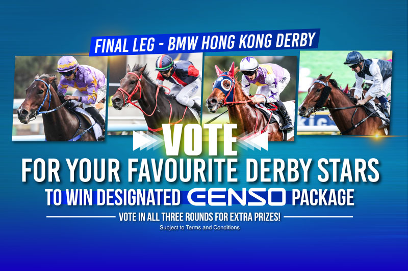 Cast Your Vote for Your Favourite Derby Stars (3rd round)