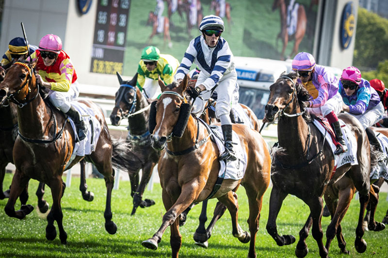 Book Now to See Our 4YO Stars Rise to their Next Challenge