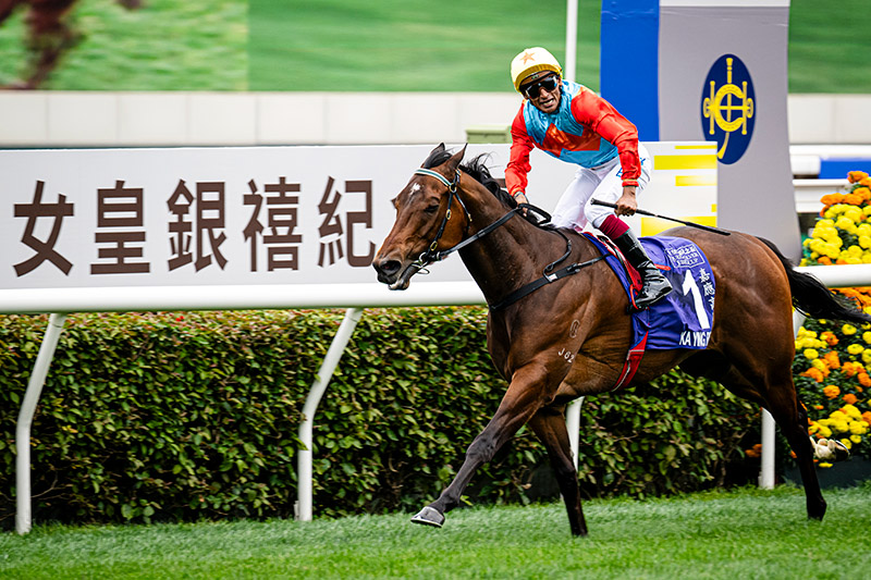 Book Now to Experience the Power and Speed