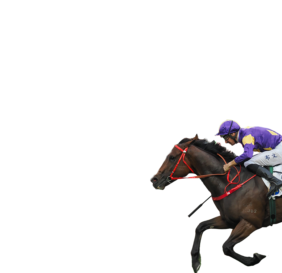 參賽馬匹- 女皇銀禧紀念盃2026 - 香港賽馬會