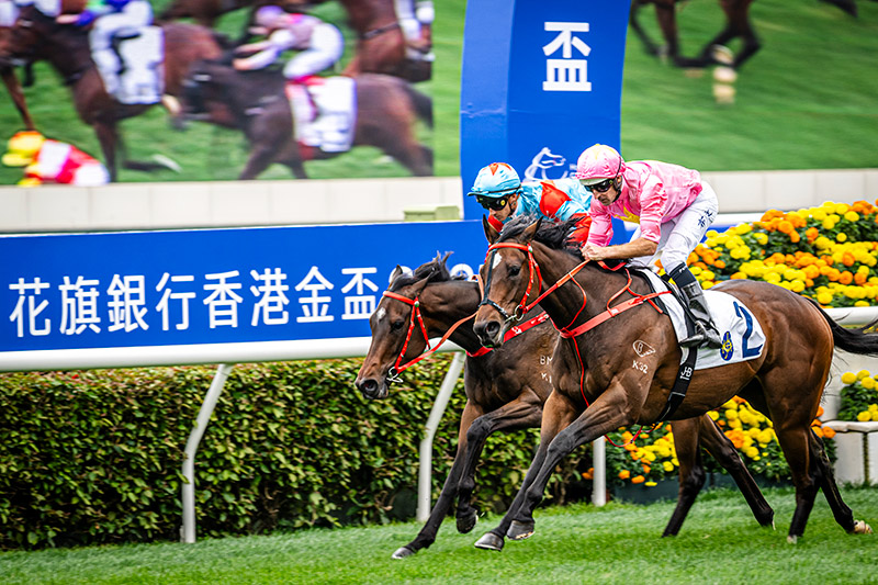 Reserve Your Spot to Witness A Not-to-be-Missed Battle of the Middle-Distance Horses
