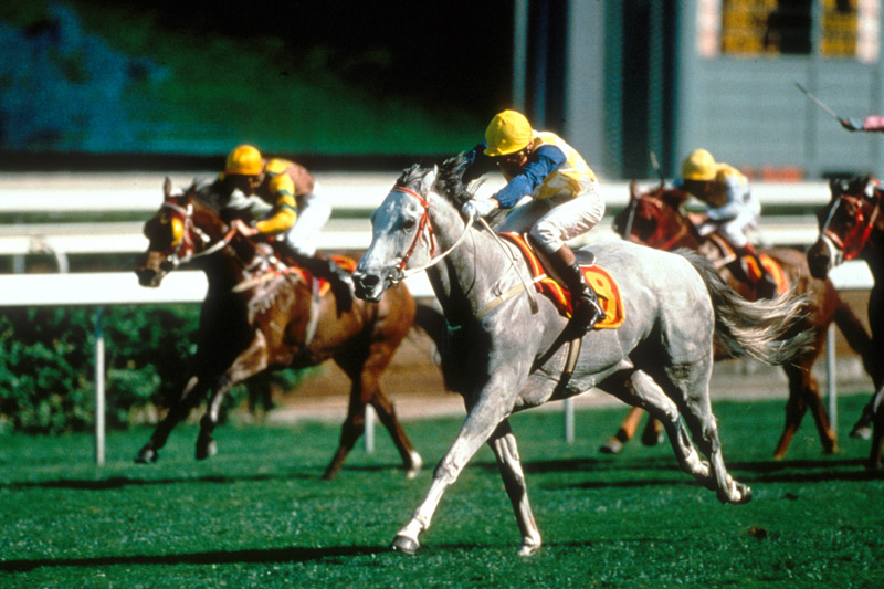 1990 - 長短途馬王「及時而出」