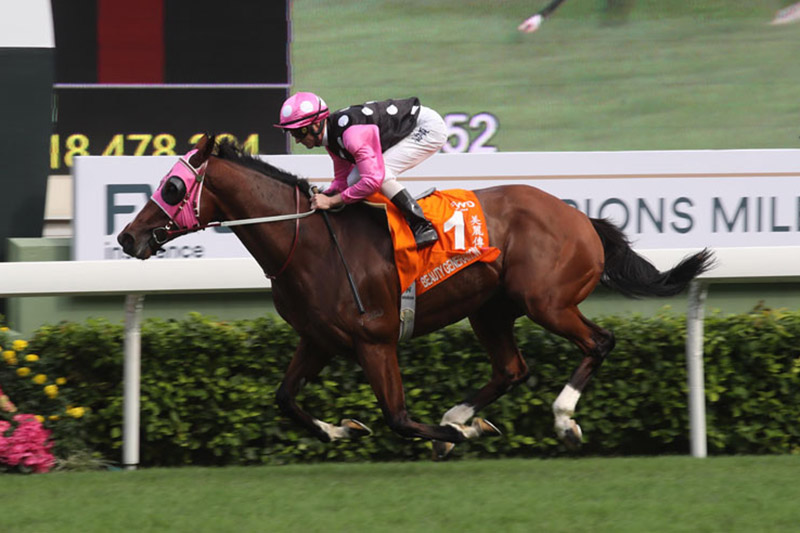 2019 - What a Beauty!