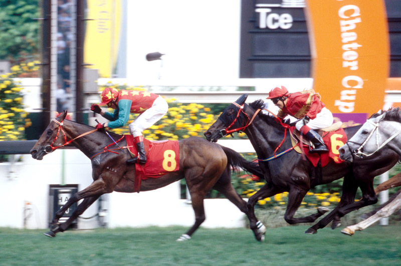 2001 - Red Pepper the first winner