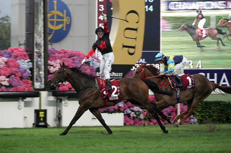 2008 - Ba Ba books Horse of the Year honours