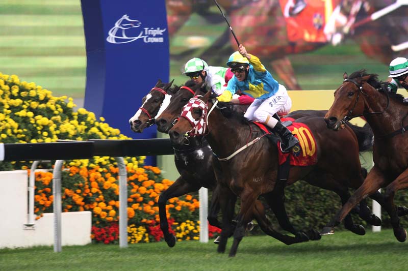 2009 - 「點心」一舉克敵