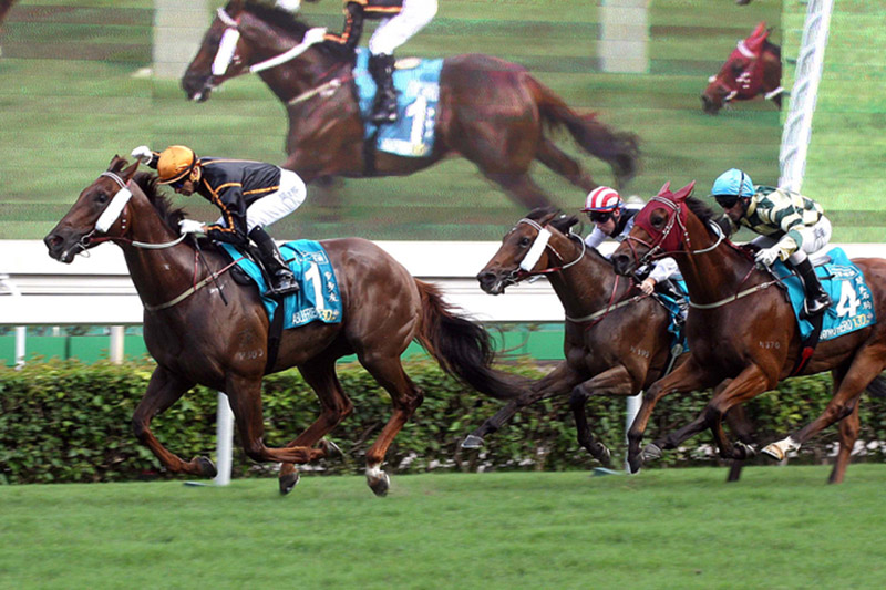 2015 - Moore snares another win with Able Friend