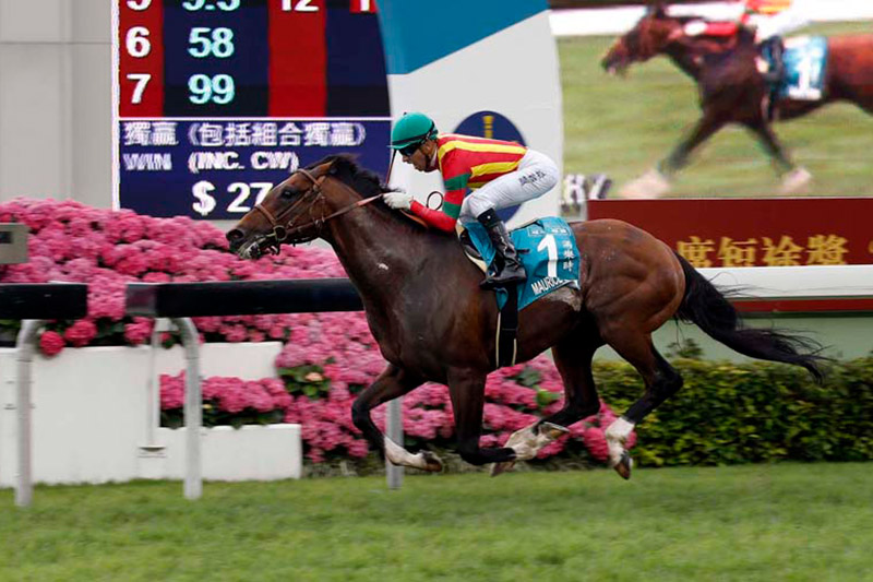 2016 - Maurice completes rare double