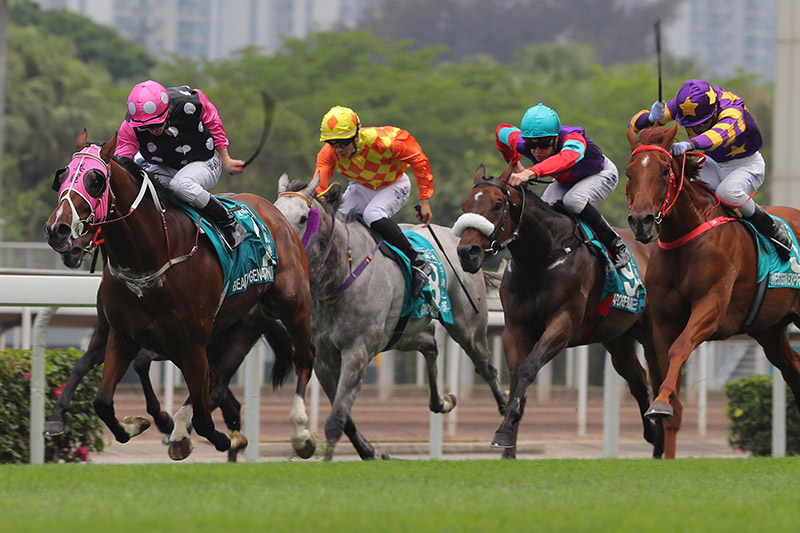 2018 - Beauty Hat-trick