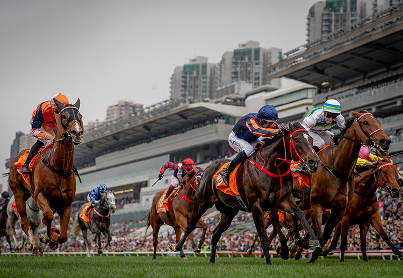 2025 - State of Shock