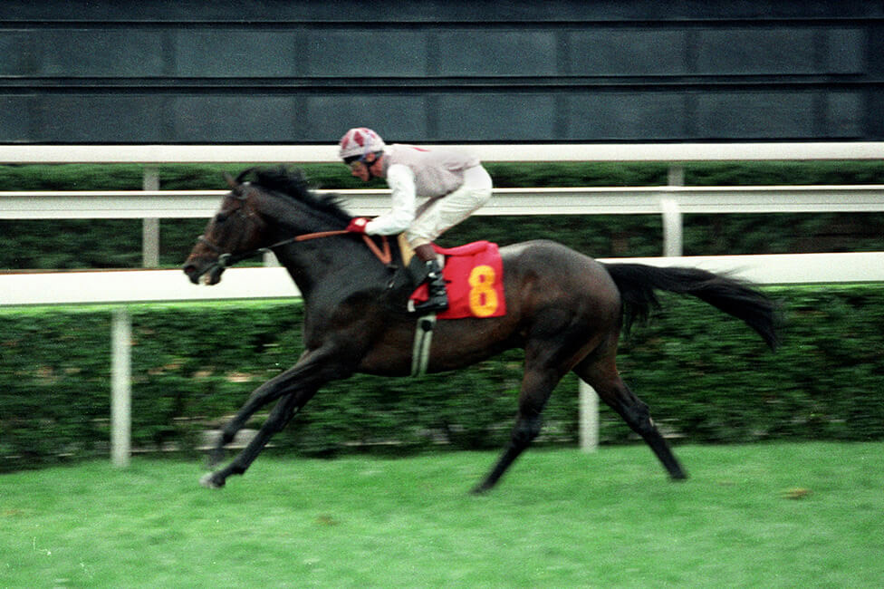 1995 - QEII Cup