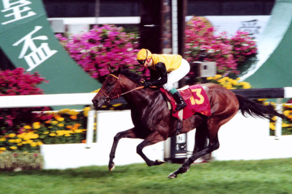 2001 - QEII Cup