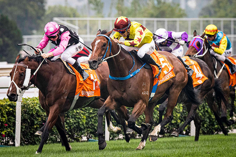 2020 - Breakthrough for Fownes and Ho