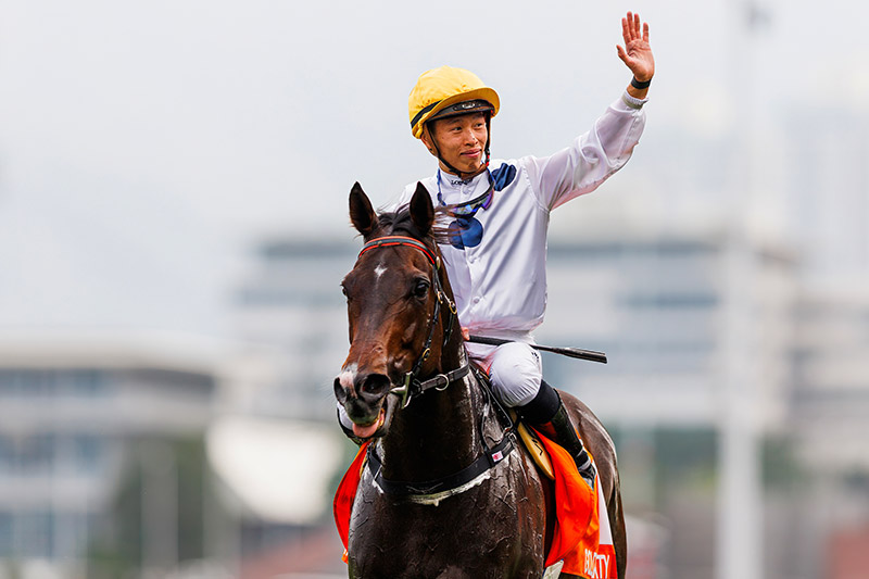 2023 - Golden history